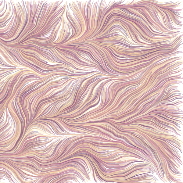 flow-fields-1_20241024_0412.png